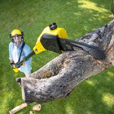 Best Organic Lawn Care Solutions  in Belgrade, MT